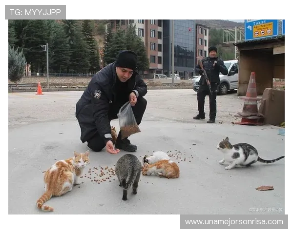 四川通报入场流浪猫未受伤害 四川通报入场流浪猫未受伤害